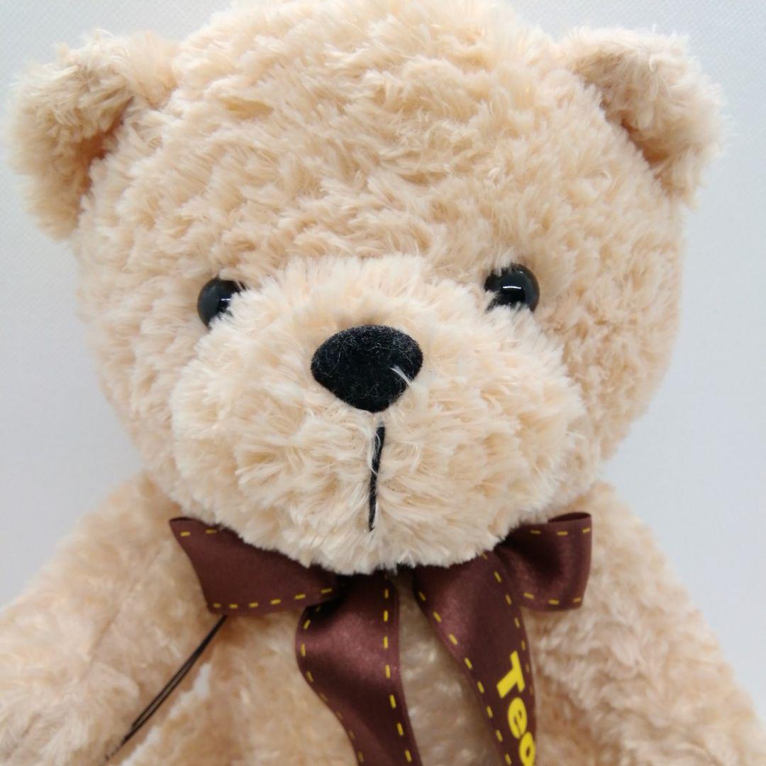 

[USED] Thank you teddy bear with mini mascot