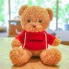 Teddy Bear Sweater Hug Plush Doll for Girls - Valentine's Day or Birthday Gift