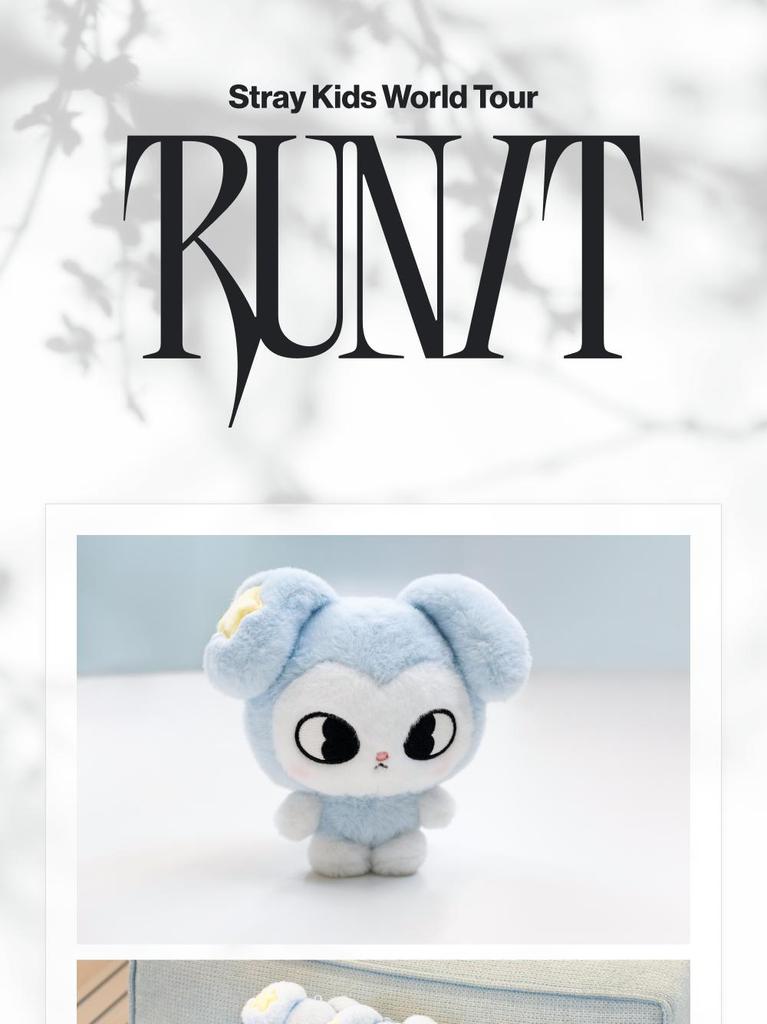 [PRE-ORDER] TASY PLUSH ORIGINAL Ver. Stray Kids World Tour RUN IT MD