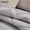 Mercury Home Textiles Elegant Antibacterial Four Seasons Quilt