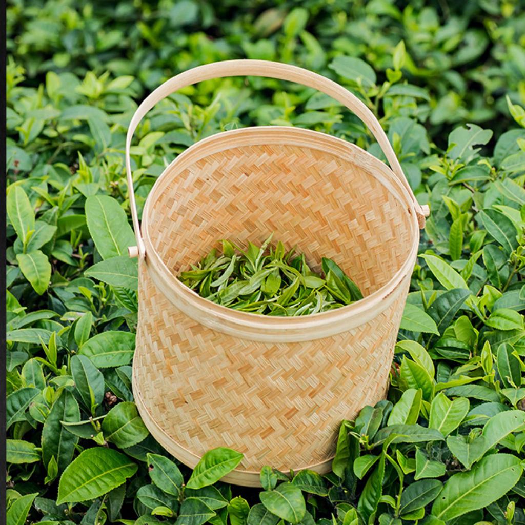 250g Tikuanyin Green Tea Anxi Tie Guan Yin Oolong Organic Health Tea Arganic Slimming Anti-Aging