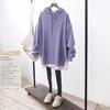 Women's 2024 Autumn and Winter Loose Large Size Casual Top with Two Pieces of Fake Hoodie Sweater