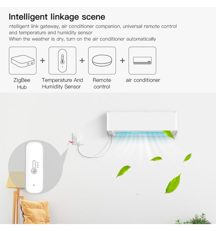 Graffiti Smart WiFi Temperature and Humidity Sensor for Home