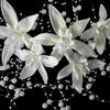 Kanza white hair accessories for and A luxurious and elegant addition to any A uniquely A set of hair accessories Store Large, elegant, coming-of-age