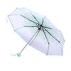1PC Transparent Folding Umbrella Fashionable Princess Umbrella Cherry Blossom # Light Green