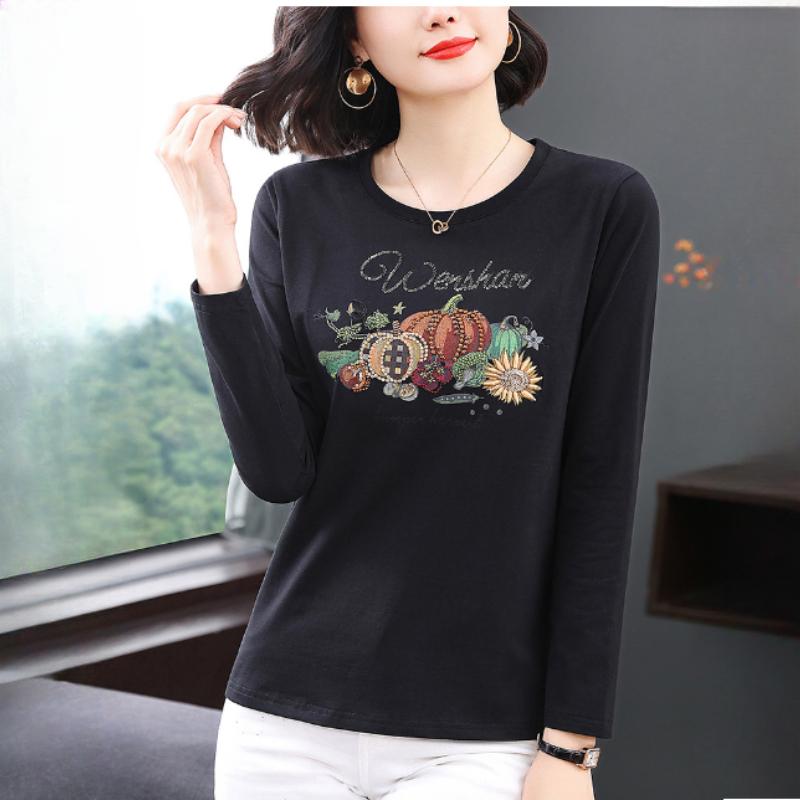 Long-sleeved T-shirt Women's Spring and Autumn Fashion Embroidered Cotton Blouse Bottoming Shirt Women