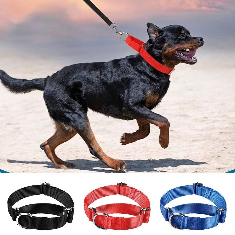 Wytrzymała obroża dla psa Regulowana obroża dla zwierzęcia Solidna obroża treningowa dla psa