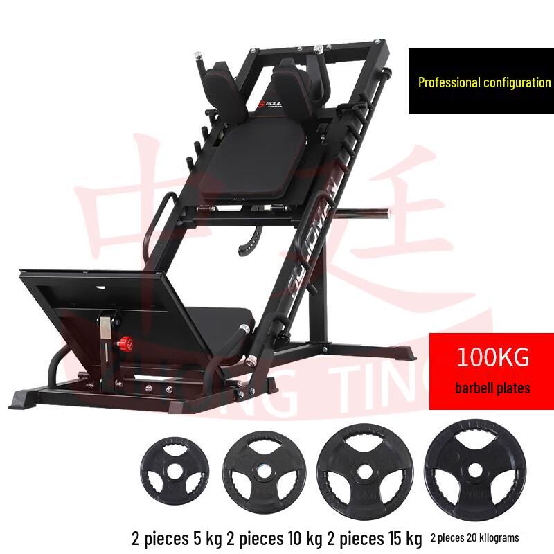 Professional Leg Press and Squat Machine