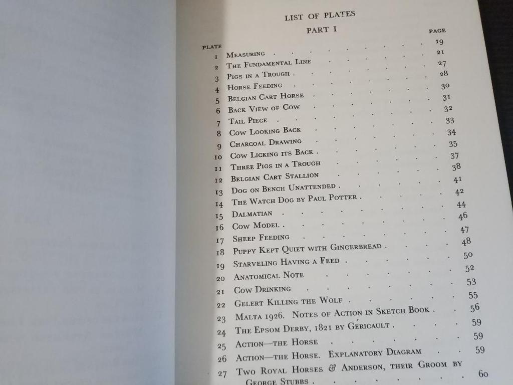 [USED] Anomal Painting and Anatomy Dover