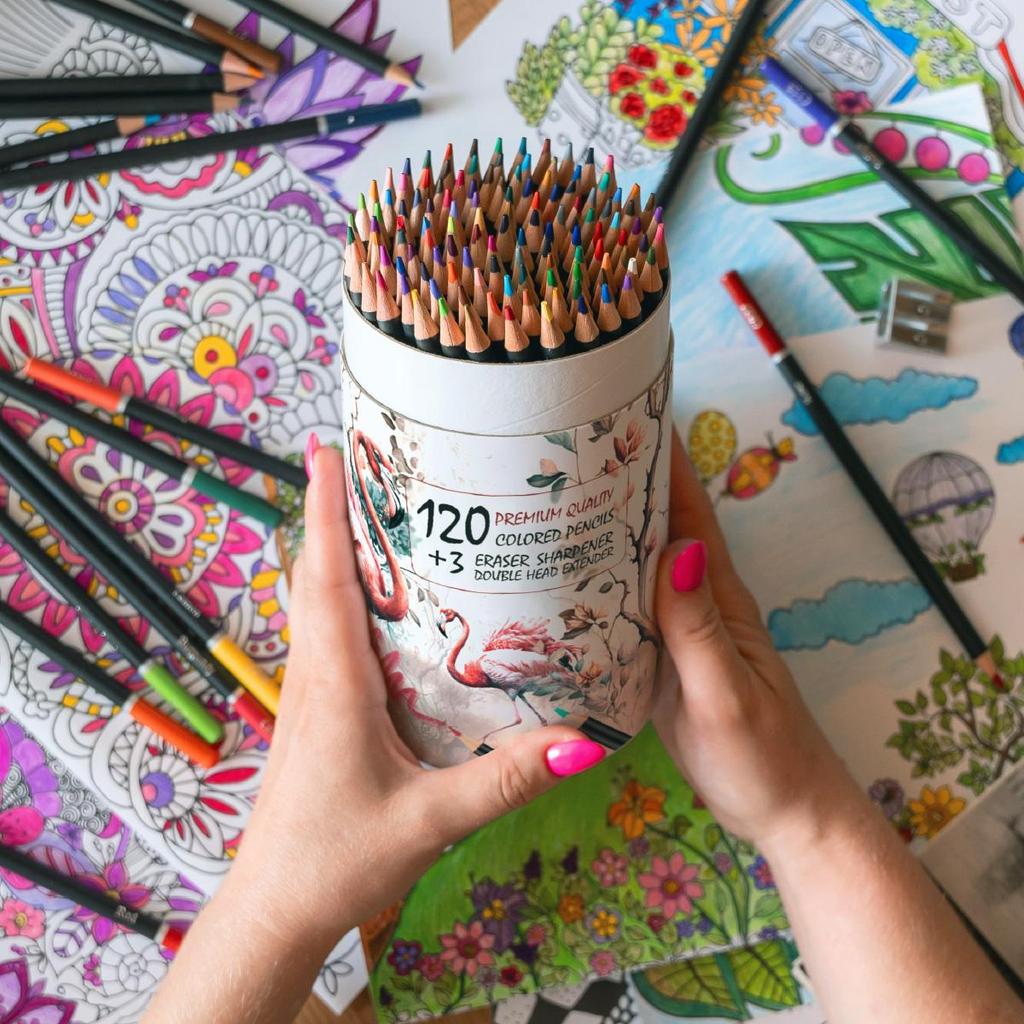 Colored Pencil Set, 123 Pencil and Accessories, Painting, Drawing and Sketching Art Supplies