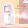 Rechargeable Nano Mist Plush Face Humidifier - Handheld Cold Spray Steamer