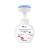 Sheshang Foaming Hand Soap
