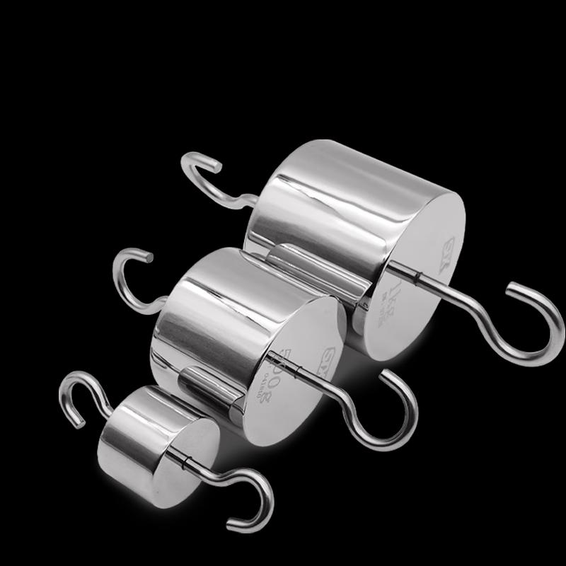 M1 Class Stainless Steel Double Hook Calibration Weight