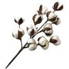 50cm Cotton Stems Decoration 12 Cotton Bolls Cotton Stalks Branch for Home Decor Wedding Centerpiece Farmhouse Decoration