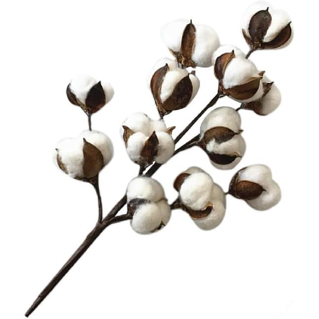50cm Cotton Stems Decoration 12 Cotton Bolls Cotton Stalks Branch for Home Decor Wedding Centerpiece Farmhouse Decoration