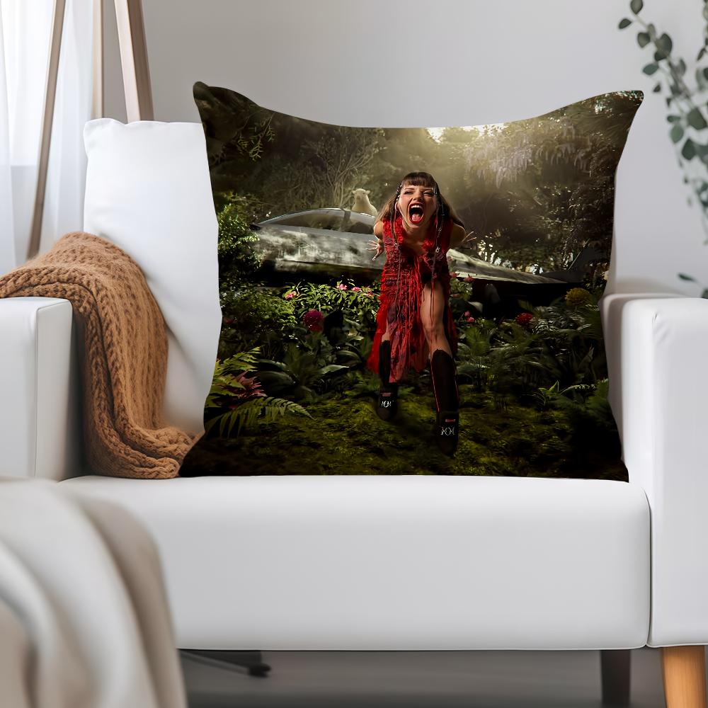 Singer N-nina Chuba Ich Lieb Mich Pillow Case Applicable Space For Guest Rooms Interiors Cars Office House Decoration