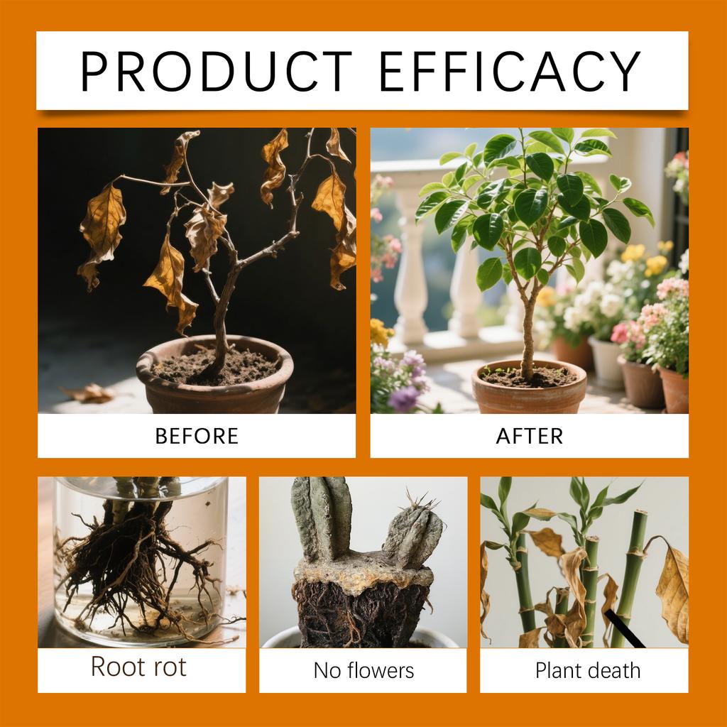 Порошок для росту рослин, Універсальний порошок для посадки для коренів рослин, Поглинання ефективності добрив та догляд за посівами.