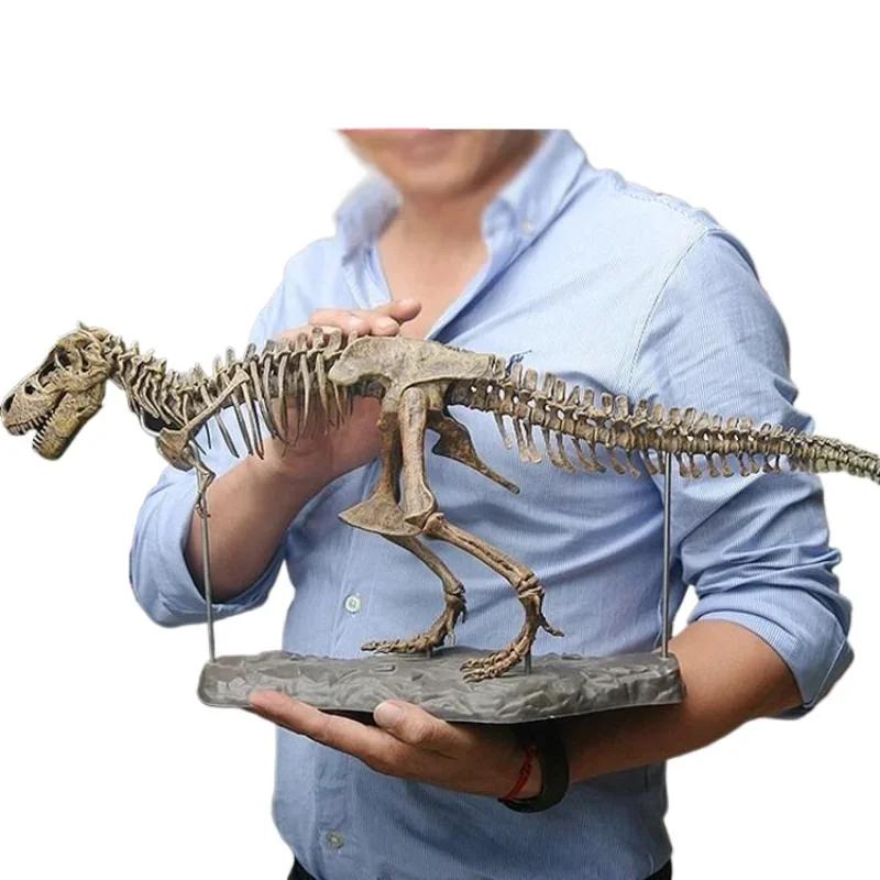 DIY Large T Rex Tyrannosaurus Rex Skeleton Dinosaur  Animal Model Collector Super Decor Tyrannosaurus Rex Skeleton Ornaments