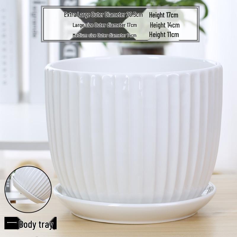 Simple White Ceramic Flower Pot with Base for Indoor Plants - Available in Large and Extra Large