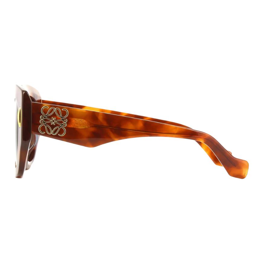 Loewe Acetate Square Sunglasses Unisex Sunglasses Tortoiseshell LW40129U53V