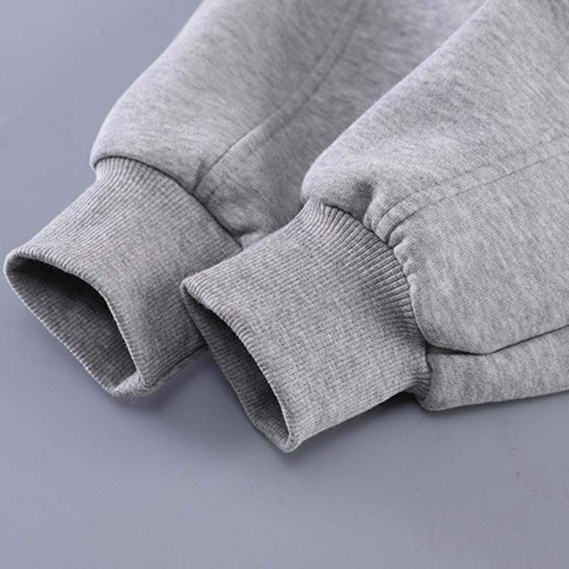 0-5 Years Old Boys' Long Sleeved Suit Children's Cartoon Lion Hoodie+casual Pants Two-piece Set Cute And Comfortable Clothes For Boys' Babies