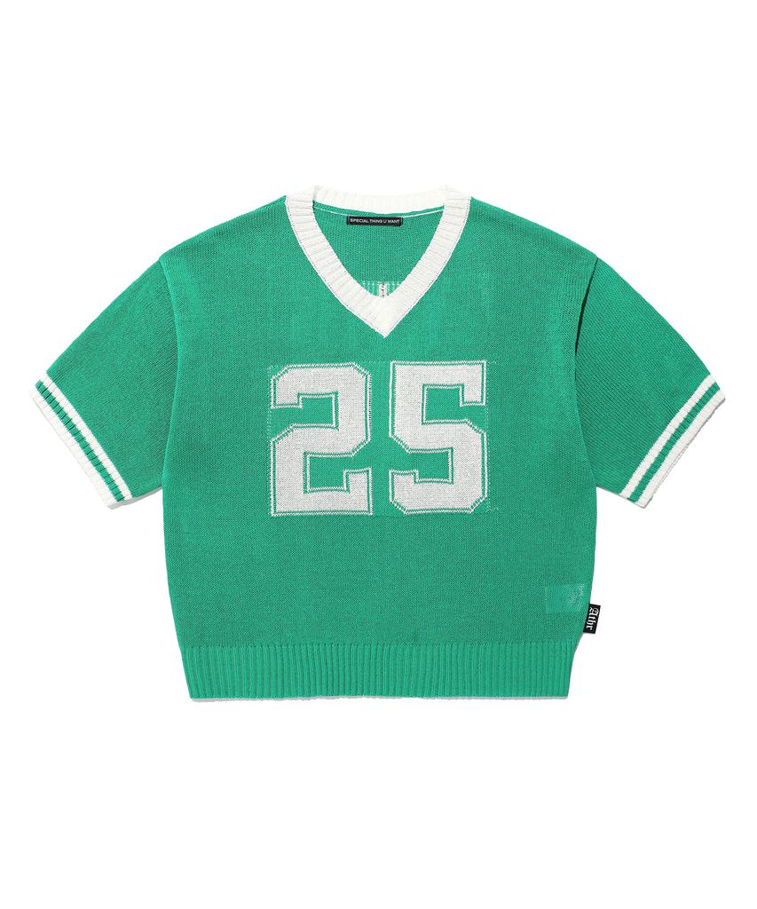Andy Other Oversized V-Neck Short Sleeve Knit Green