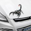 3D Animal Car Stickers Spider Gecko Realistic Decoration Decals Universal Motorcycle Automobile Body Home Wall