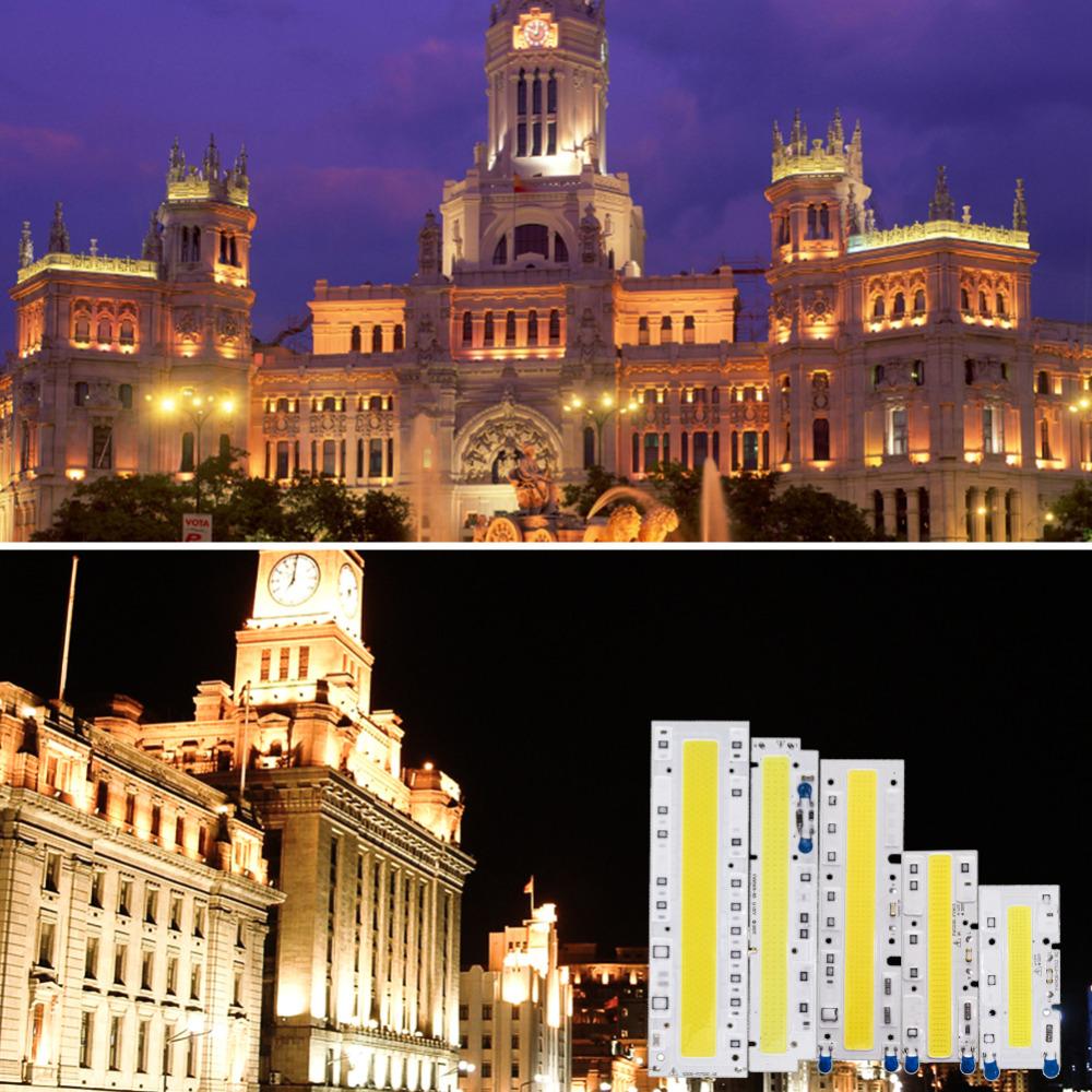 2xCOB Lamp Chip LED Bulb Smart IC Driver DIY Spotlight Floodlight Energy Saving Outdoor 10W 20W 30W 50W High Power 110V 220V 12V