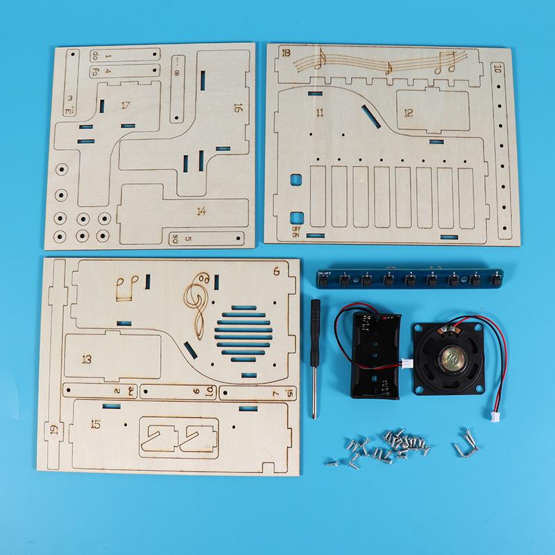 DIY Holz Elektronisches Klavier Modell STEM Bausatz Physik Sound Experiment Pädagogisches Lehrmittel Für Erwachsenenbildung