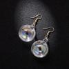 Korean Iridescent Glass Ball Earrings: Trendy Transparent Dangle Studs for Women