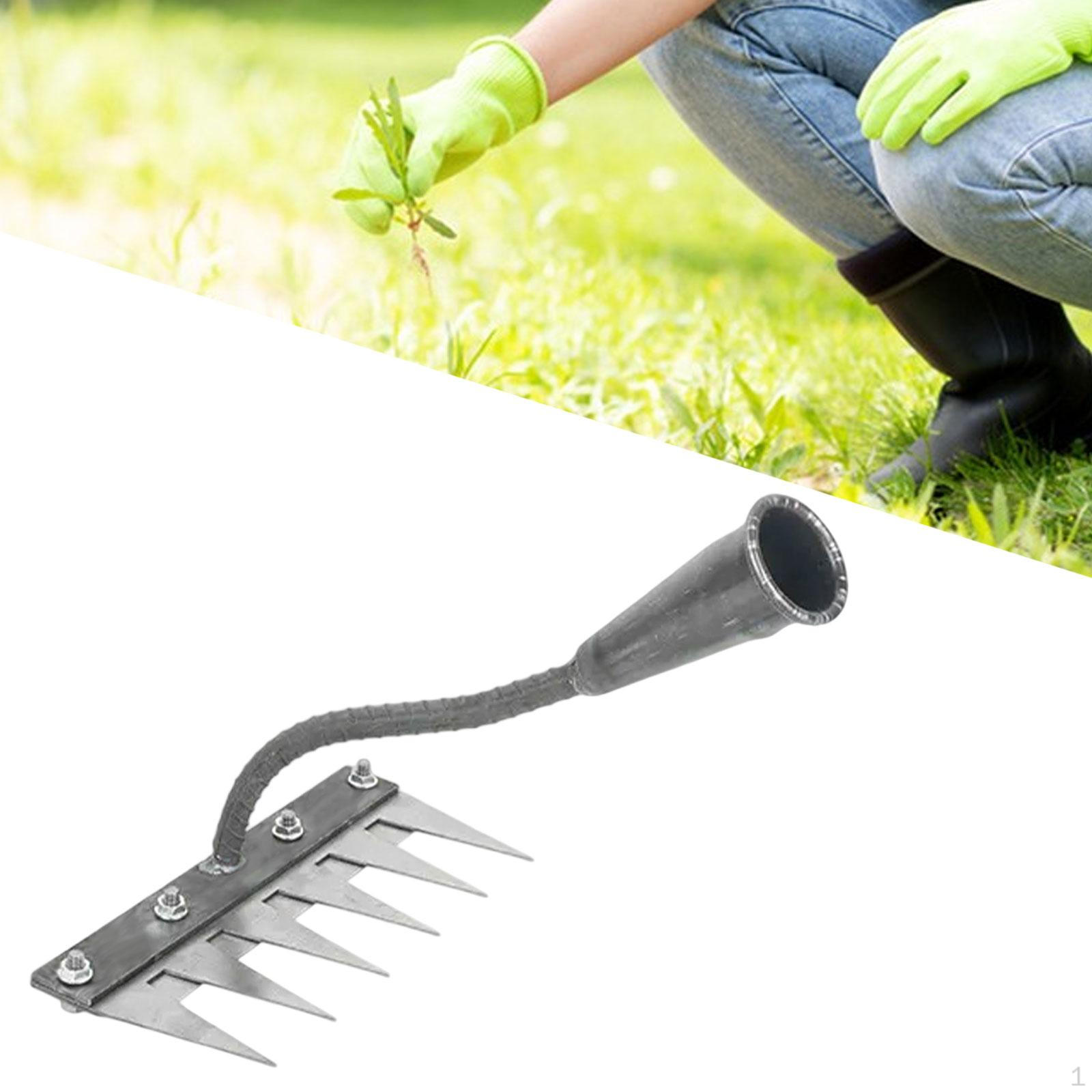 Вычисления, Универсальная сталь Высокопроизводительные ручные инструменты для садовых типов Культивировать ландшафты 6 Teeth