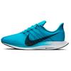 New Zoom Pegasus Turbo 'Blue Lagoon' AJ4114-401