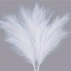 10pcs Artificial Pampas Grass Bouquets - 21.65inch Tall Fabric Feather Decor, Boho Nordic Home Decor for Weddings, Parties, Living Room, Bedroom