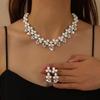 2026 Fashion Pearl Rhinestone Set Chain Women's Explosive Bridal Set Accessories Niche Temperament Clavicle Chain