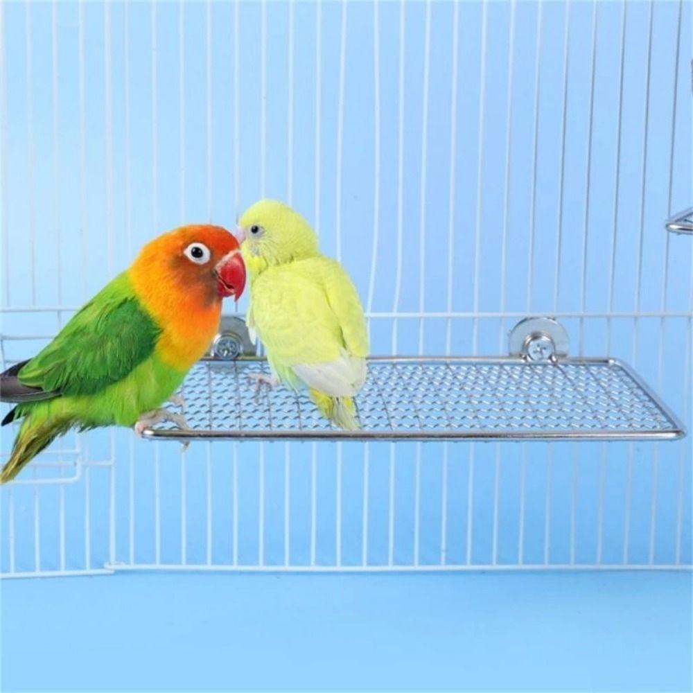 Rust-Resistant Stainless Steel Bird Perch Platform Moisture Proof Bird Rest Platform Glass Surface