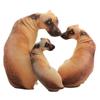 3D Cute Bend Dog Printed Throw Pillow Lifelike Animal Funny Dog Head Cosplay Children Favorite Toy Cushion For Home