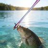 Fishing Hook Remover Dehooker Tool Deeply Throat Quick Uncoupling Tool Fishes Hook Quick Removal Device Fishing Accessory