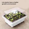 Indoor Propagation Box Greenhouse Propagation Set Tray With Lid And Ventilation