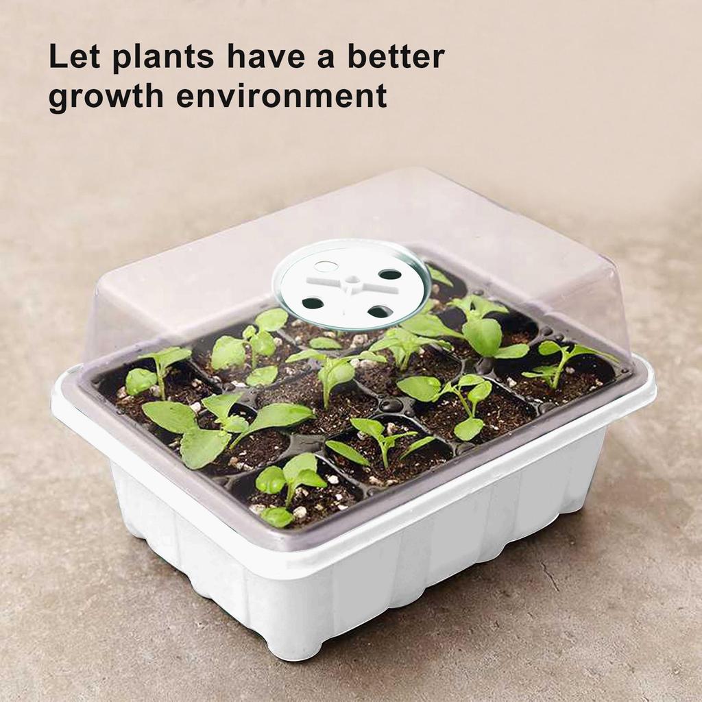 Indoor Propagation Box Greenhouse Propagation Set Tray With Lid And Ventilation