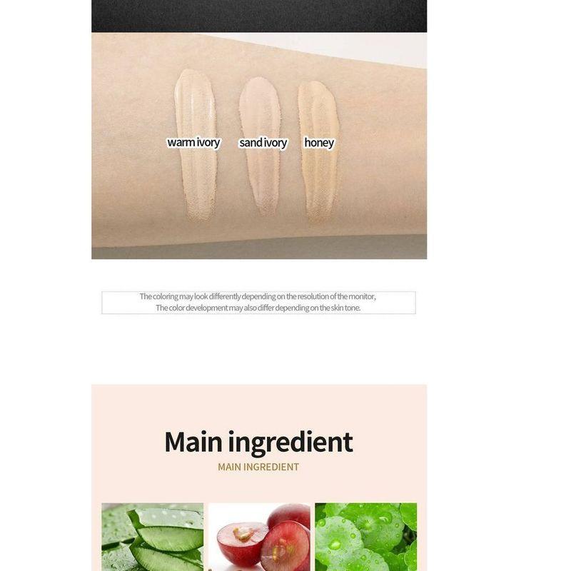 HOLIKA HOLIKA - Hard Cover Liquid Concealer (3 Colors)