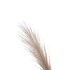 Home Decoration Plante Wedding Decor Artificial Reed Pampas Grass Fake Flowers Artificial Flower