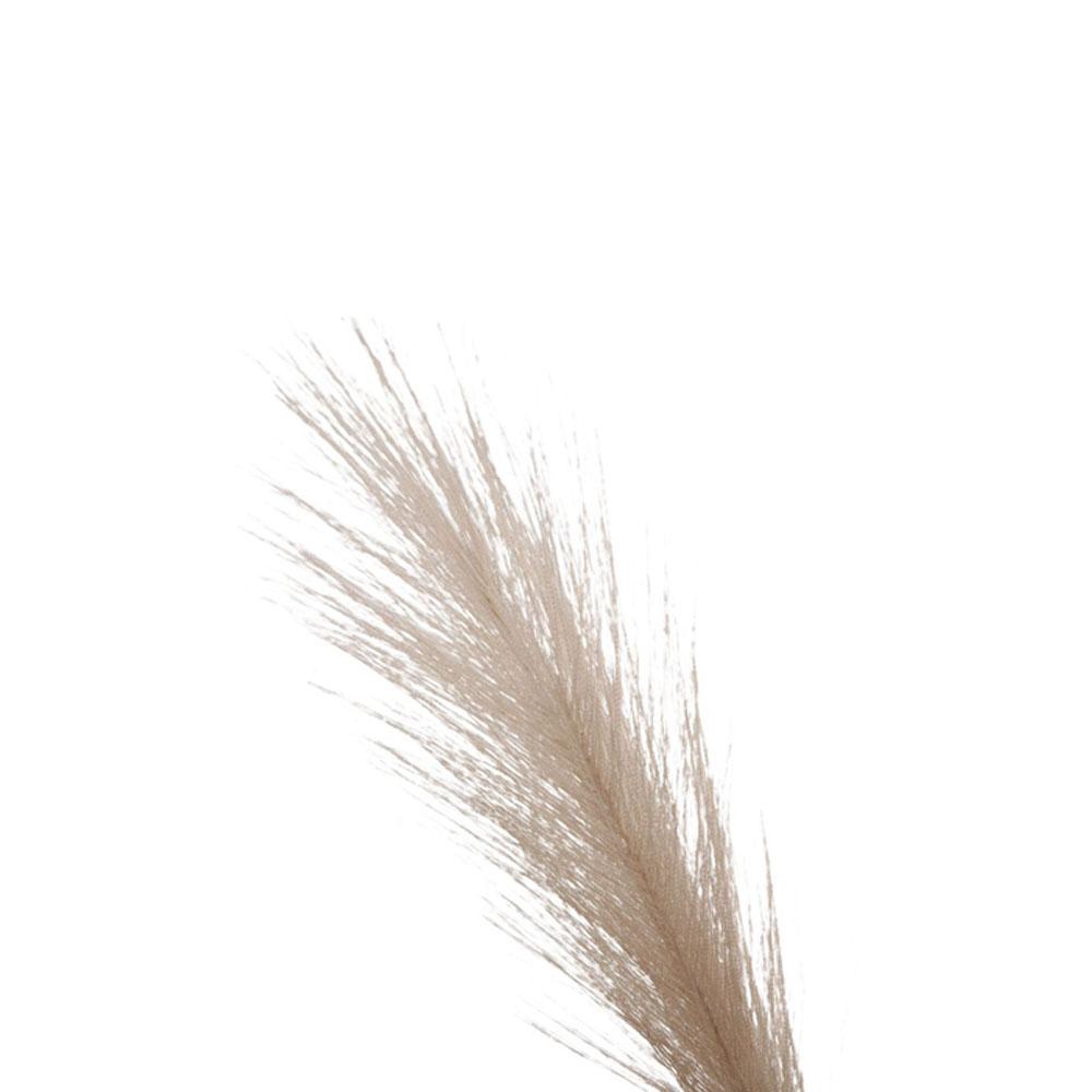 Home Decoration Plante Wedding Decor Artificial Reed Pampas Grass Fake Flowers Artificial Flower