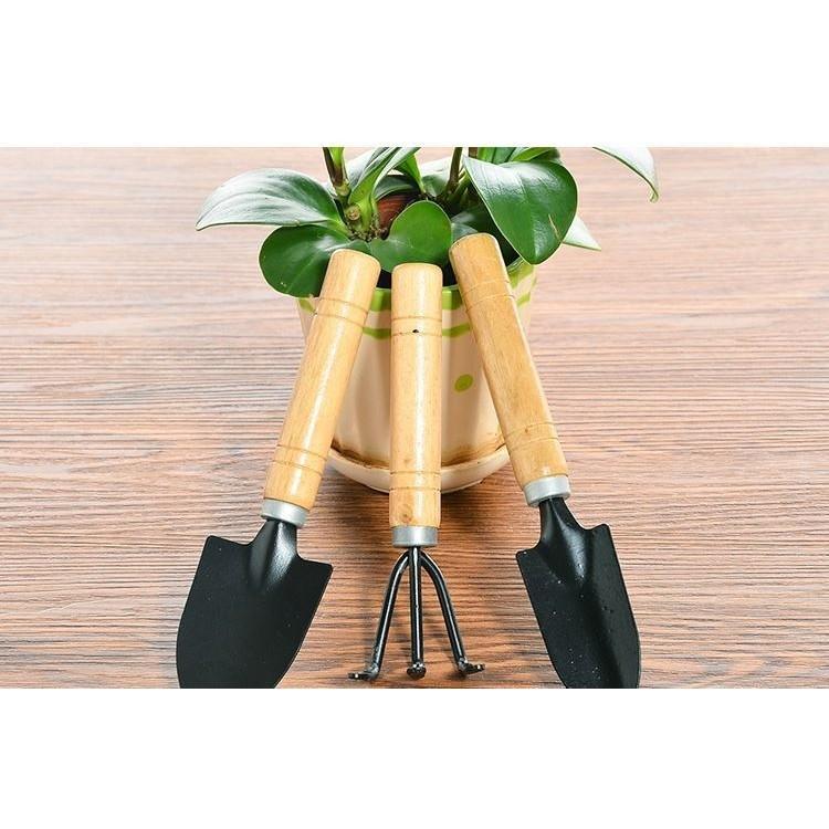 Mini instrumente de grădinărit pentru plante, lopată, greblă, set de 3 bucăți, set de mini scule de mână pentru grădină, instrumente pentru plantarea florilor