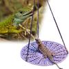 Reptile Hammock Hand Woven Strong Load-bearing Gecko Lizard Swing Toy Round Bearded Dragon Swing Hanging Bed
