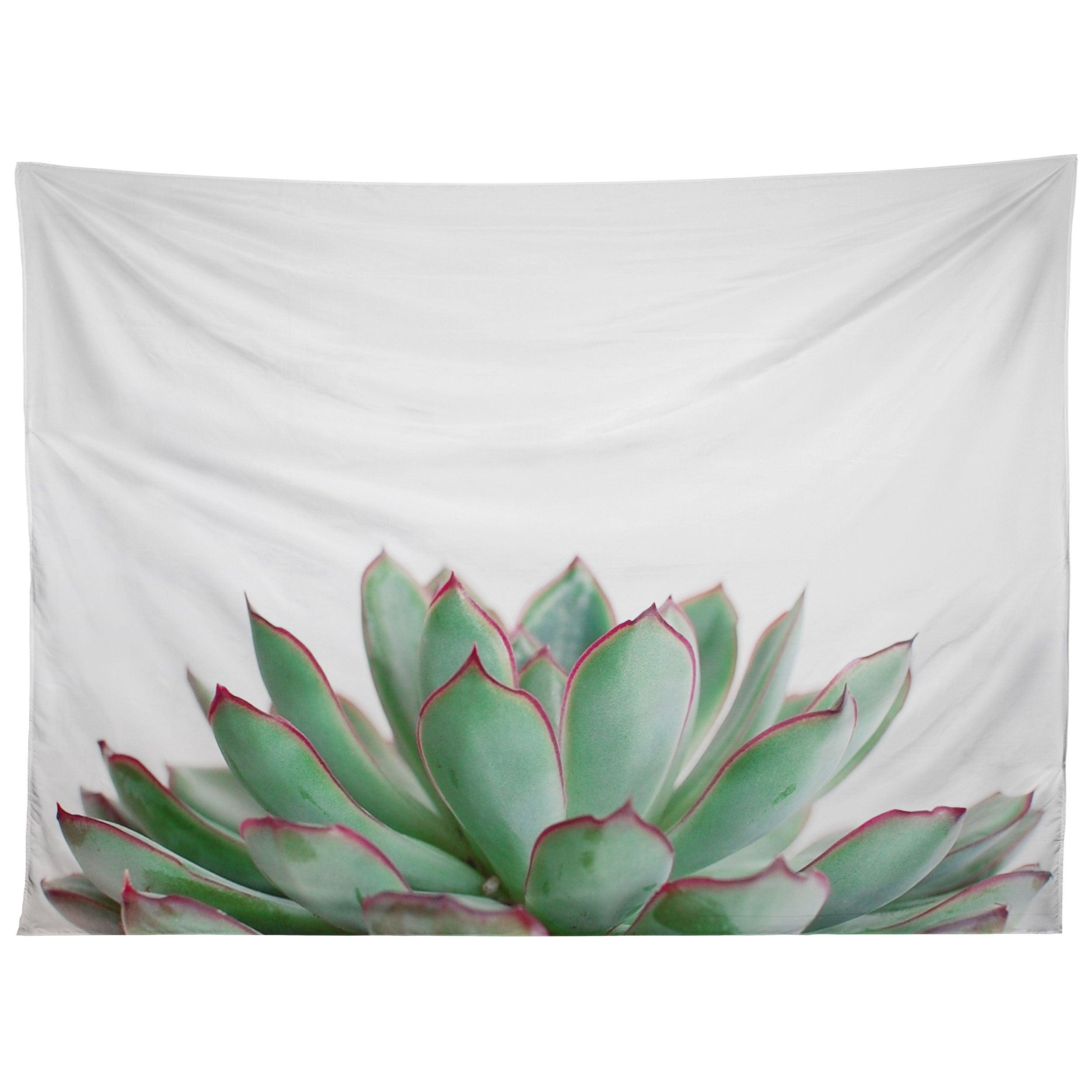ECHEVERIA tapestry 75x100