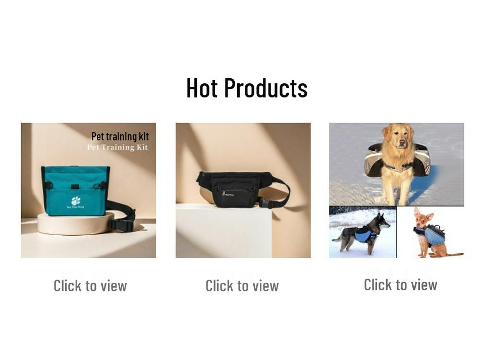 Multifunctional Pet Training Waist Bag for Outdoor Cat & Dog Supplies and Snacks