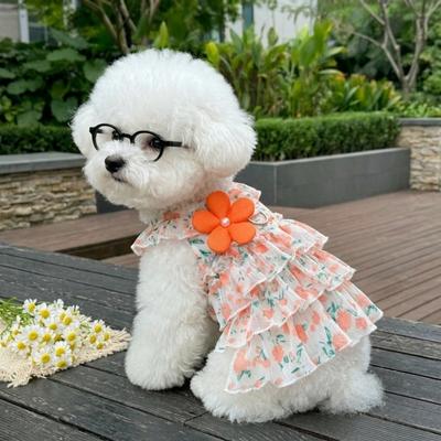 Kleding en schoenen – Jurken voor honden