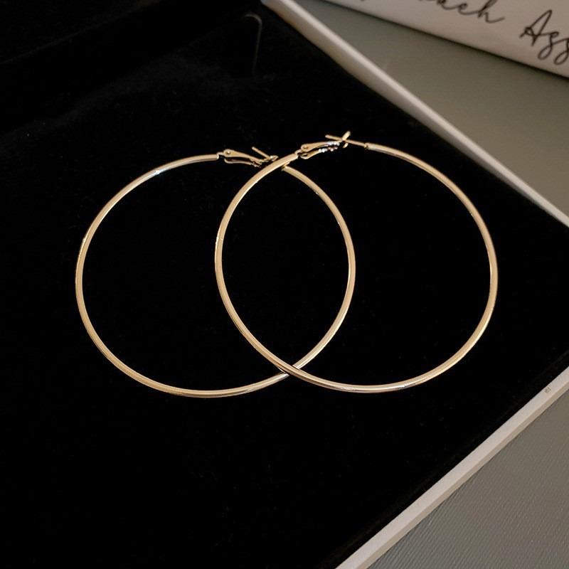 Silver Needle Autumn and Winter Metal Earrings Earrings Niche Fashion Cold Wind Earrings Versatile Light Luxury Premium Earrings
