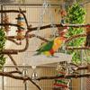 Wooden Bird Hanging Swing with Hook Bird Toy Hammock Parrot Swing Toy  Small Pet Entertainment