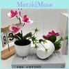 Butterfly Orchid Artificial Plant Home Decor Wedding Photography Prop With Plastic Material For Indoor Use